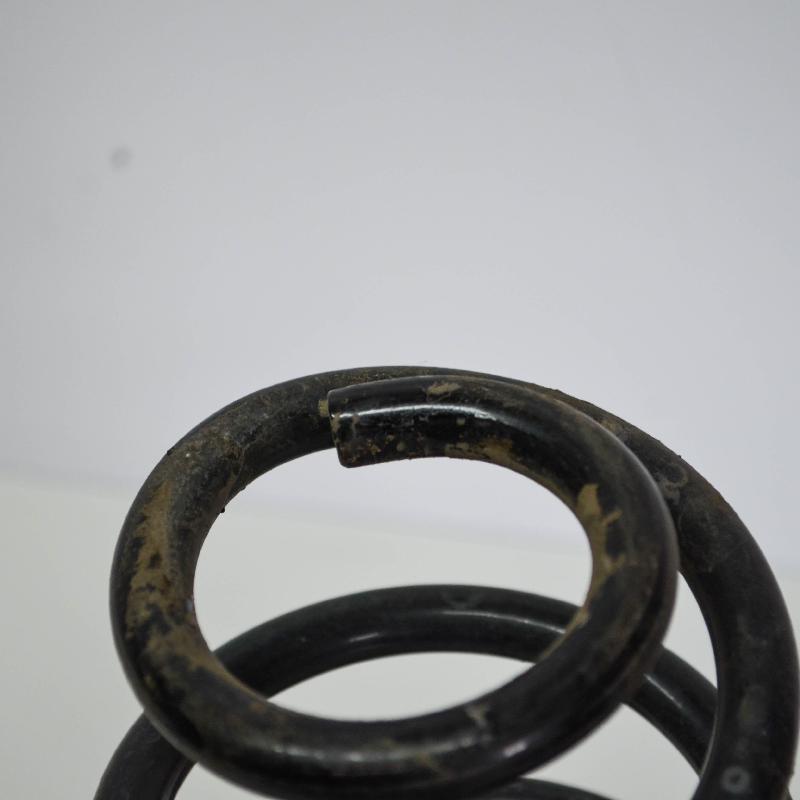AUDI A3 Sportback (8PA) Rear Right Coil Spring GELTONA, GELTONA, MELYNA